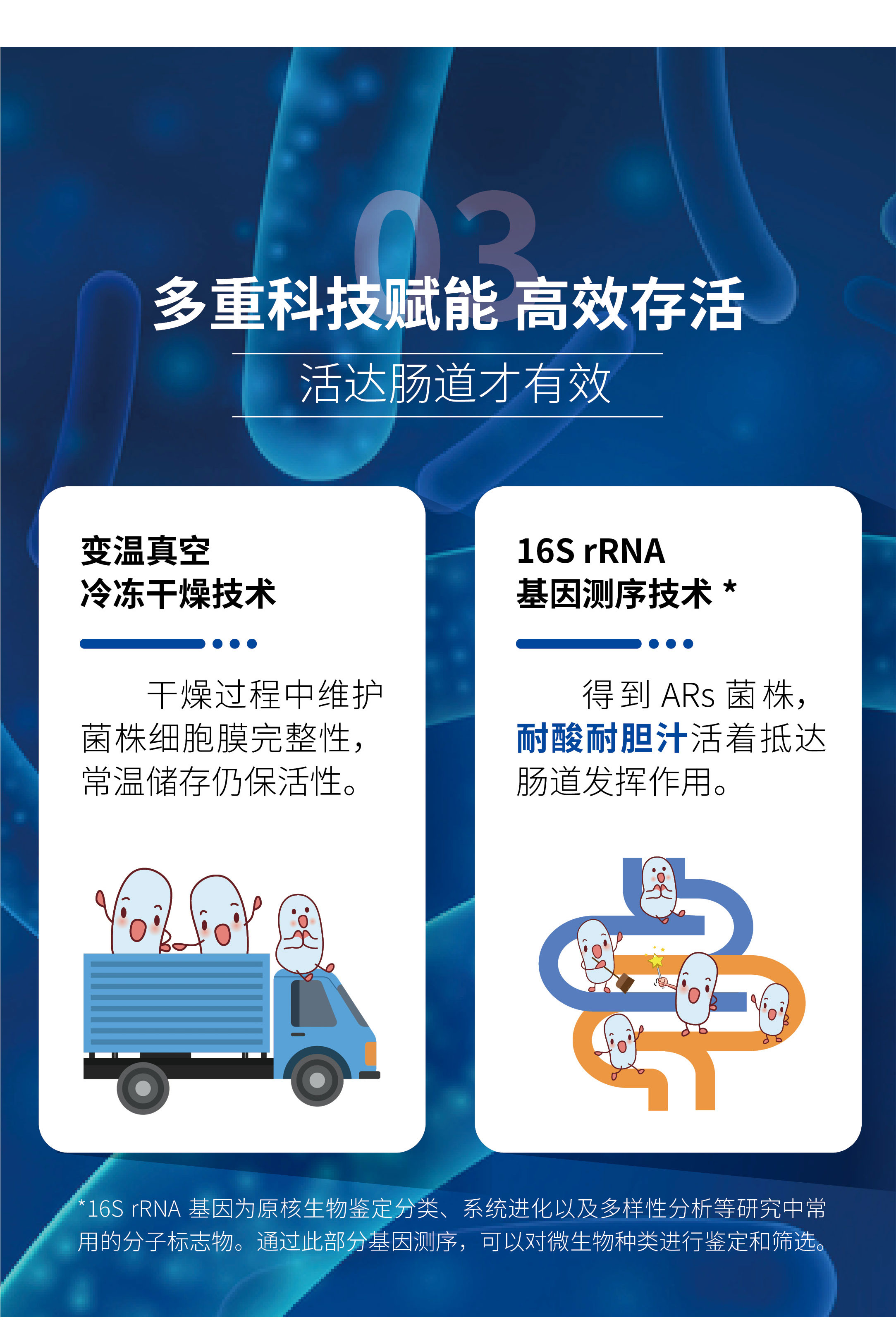 益生菌详情页202506_05.jpg
